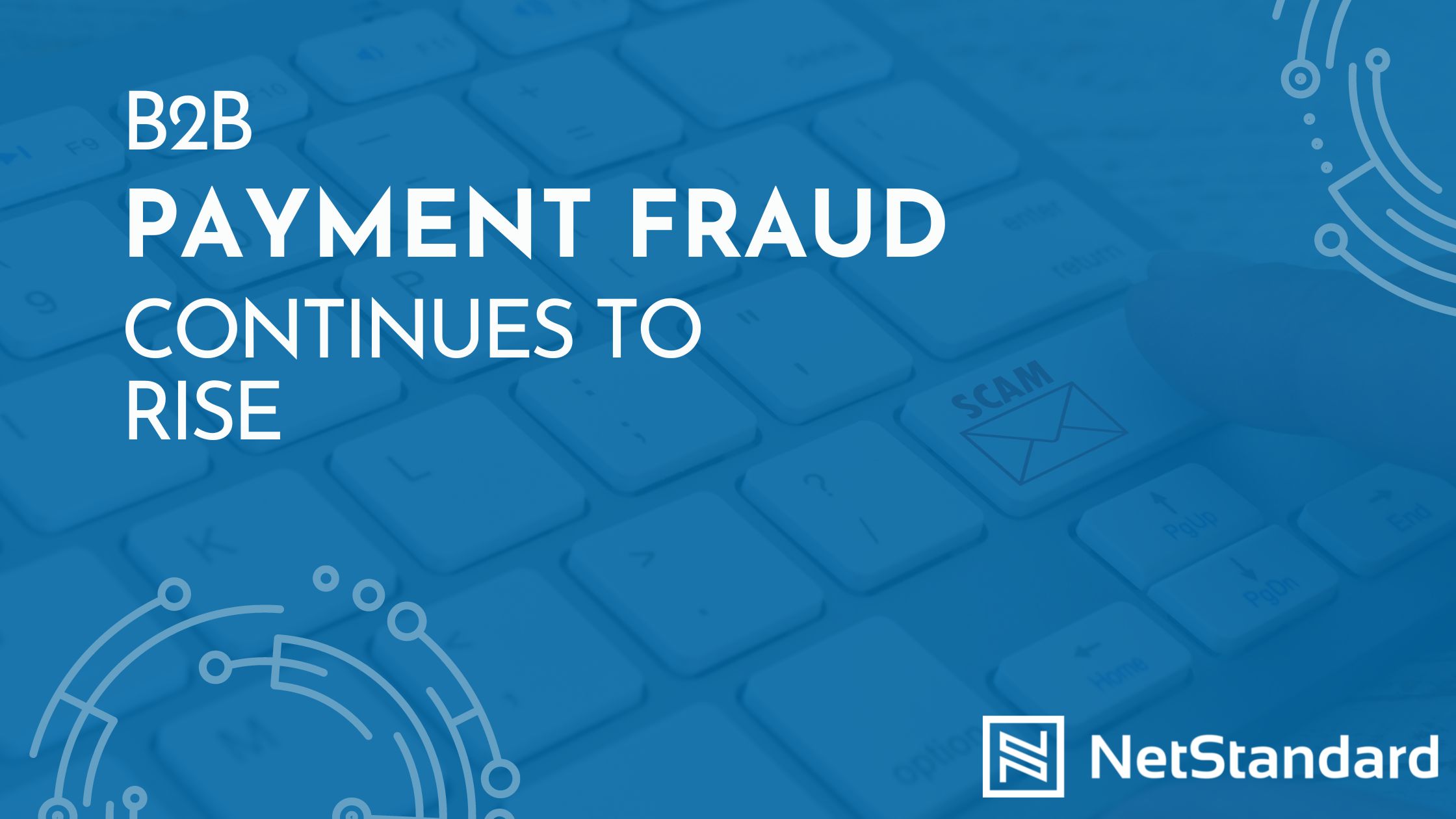 b2b payment fraud featured